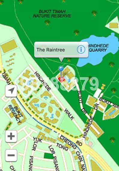 The Raintree (D21), Condominium #125754752